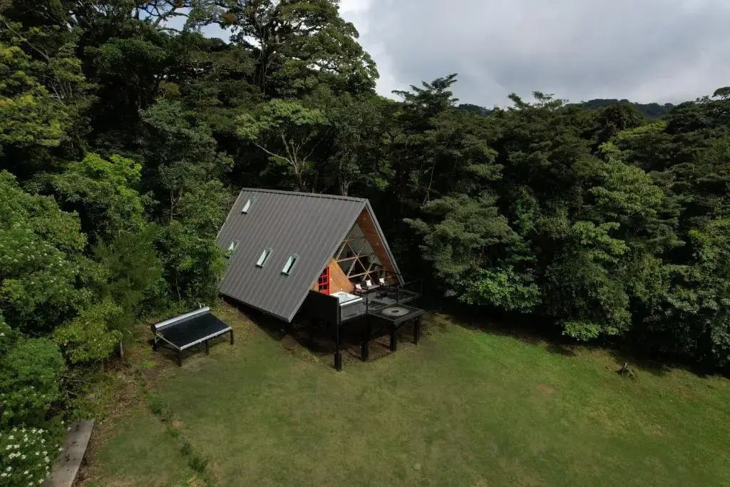 Holzhütte mit Spitzdach auf einer grünen Wiese mitten im dichten Wald