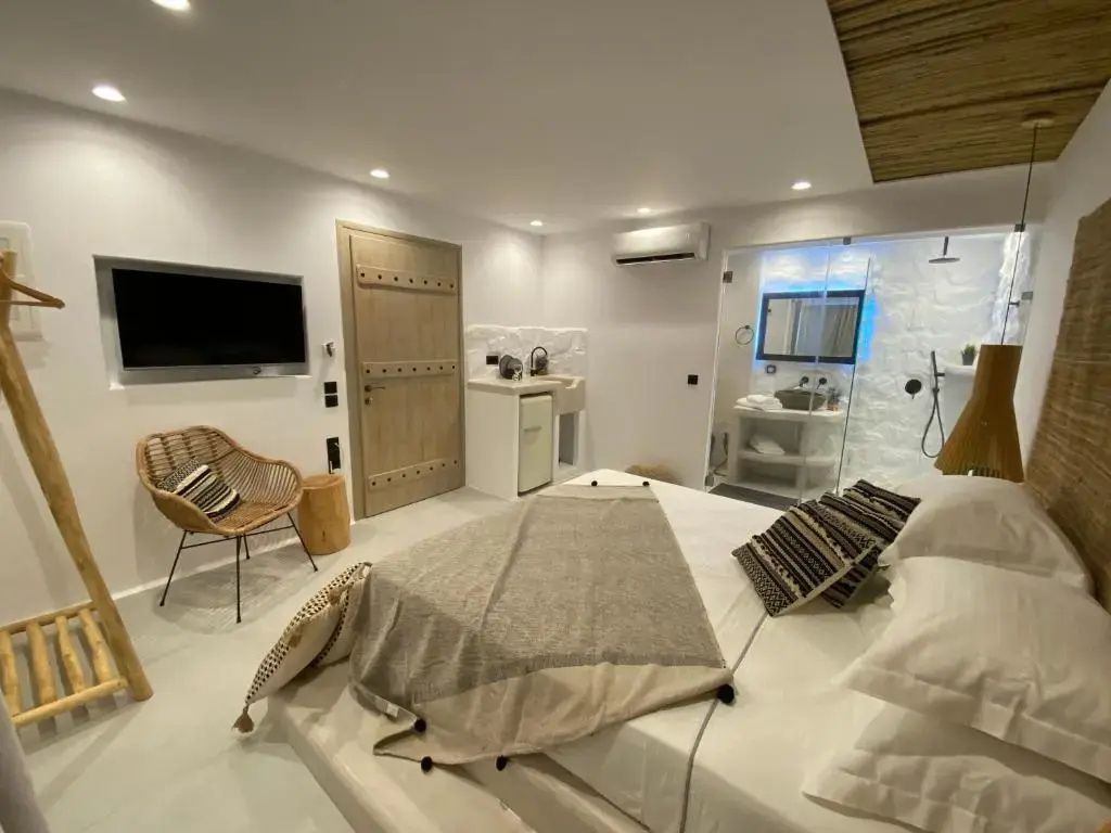 Zimmerperspektive mit Flachbild TV, Holztür, Kitchenette und offenem Duschbereich.