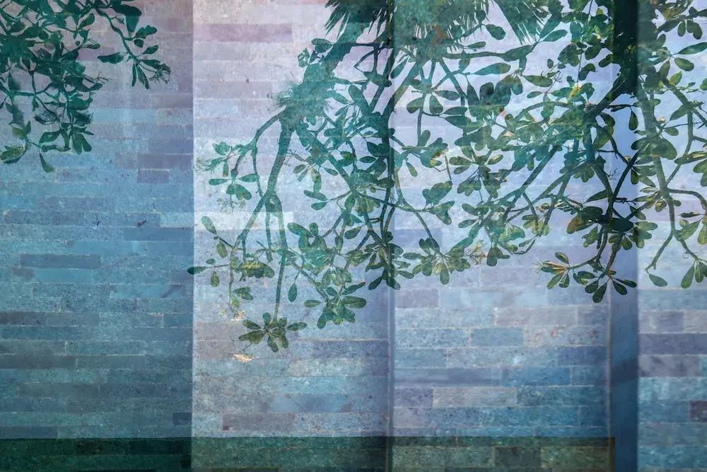 Spiegelung von Palmenblättern auf dem Wasser und den blauen Fliesen eines Swimmingpools.
