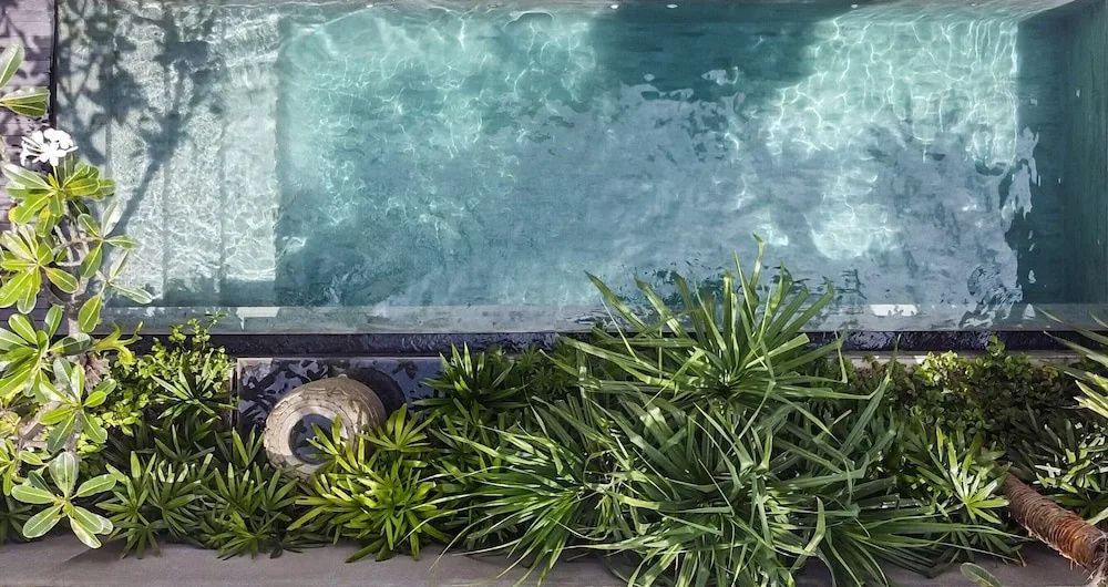 Draufsicht auf das klare Wasser eines Swimmingpools neben grünen Tropenpflanzen.