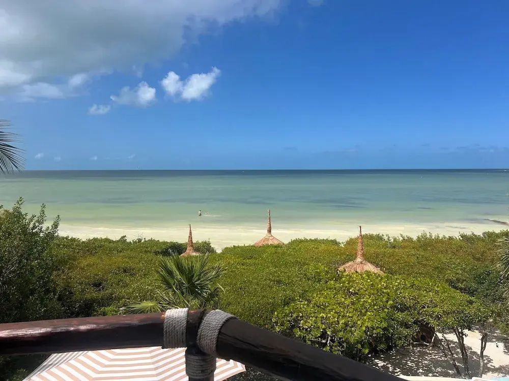 Aussicht von der Holzterrasse über grüne Pflanzen auf den Ozean.