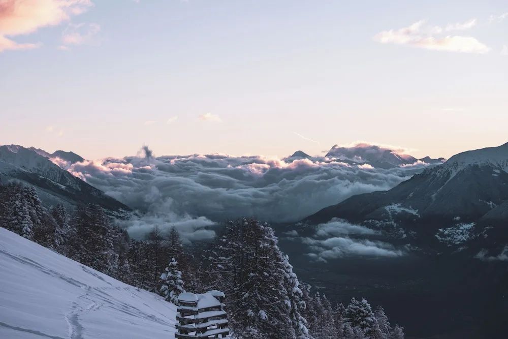 Verschneite Berglandschaft mit Tannen im Vordergrund und Wolken im Tal bei Dämmerung.