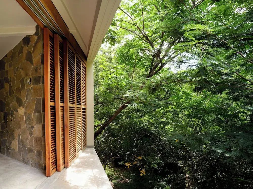 Blick von einer überdachten Terrasse mit Holzfensterläden ins dichte grüne Blätterdach.
