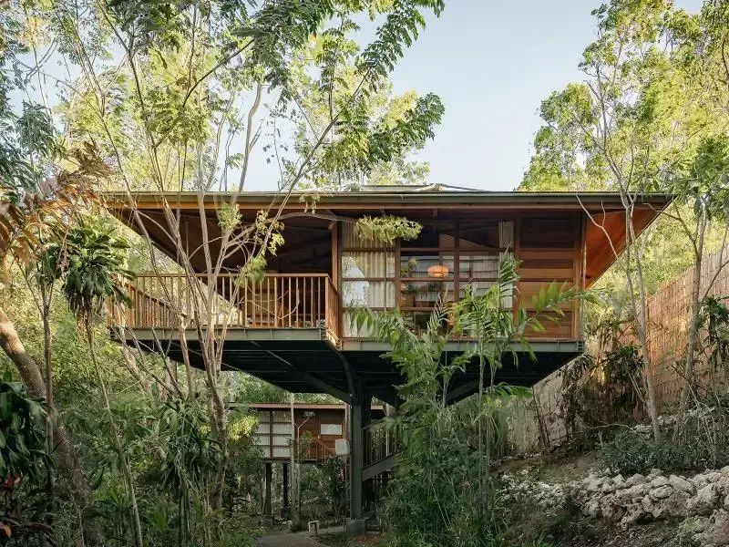 Modernes Baumhaus aus Holz auf Stelzen mitten in einer grünen Naturlandschaft.