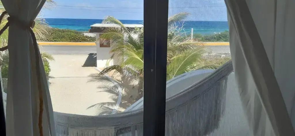 Aussicht von innen durch ein Netzfenster auf eine Straße, Palmen und das Meer