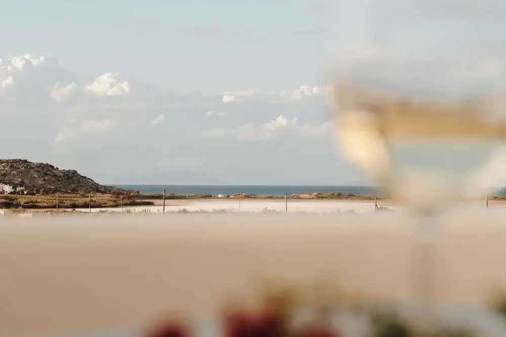 Blick über flaches Land auf das Meer und den Horizont unter leicht bewölktem Himmel.