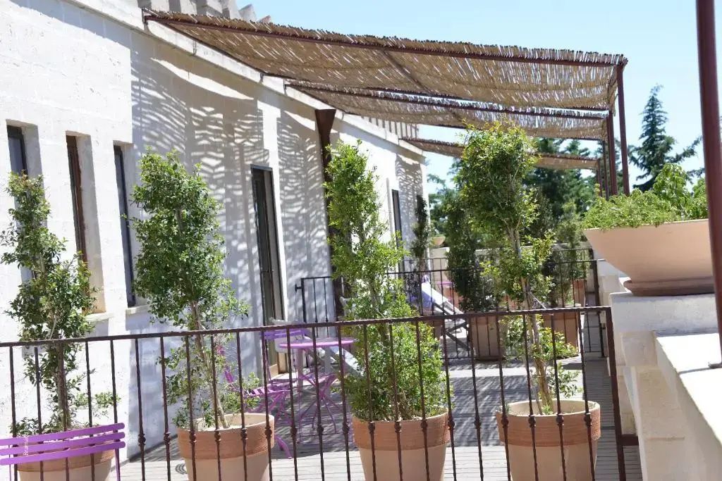 Sonnige Terrasse mit Pflanzen in Tontöpfen, Schmiedeeisengitter und einer Pergola.