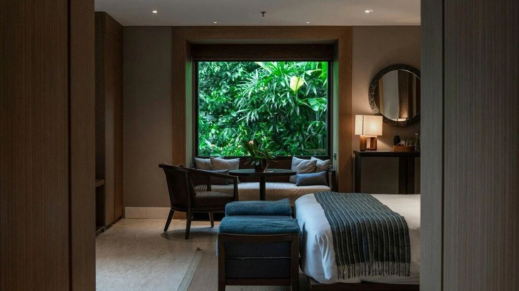Zimmerfenster mit Sitzgelegenheit und Ausblick auf tropische Pflanzen.