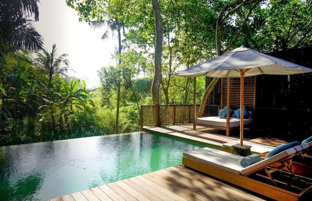 Pool auf einer Holzterrasse mit Liegestühlen und Blick auf tropische Bäume.