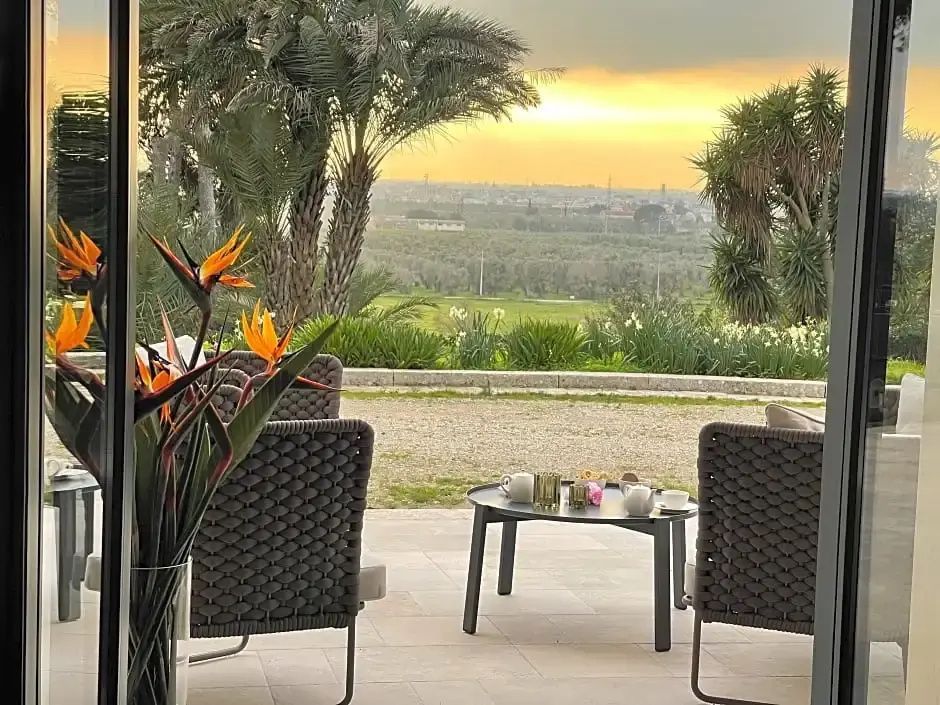 Blick von einer Terrasse mit Strelitzie auf Palmen und eine weitläufige Landschaft bei Sonnenuntergang.