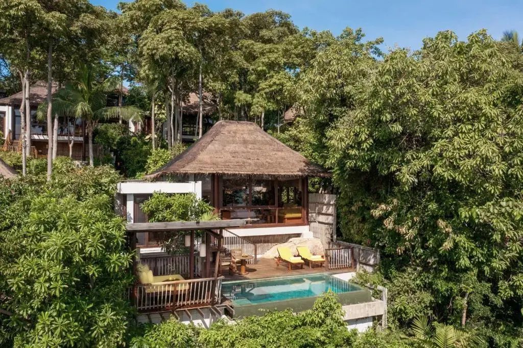 Holzvilla im Reetdach-Stil umgeben von tropischen Bäumen mit Privatpool und Terrasse mit gelben Liegen.