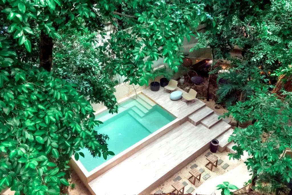 Pool auf einer Holzterrasse aus der Vogelperspektive umgeben von dichten grünen Bäumen.