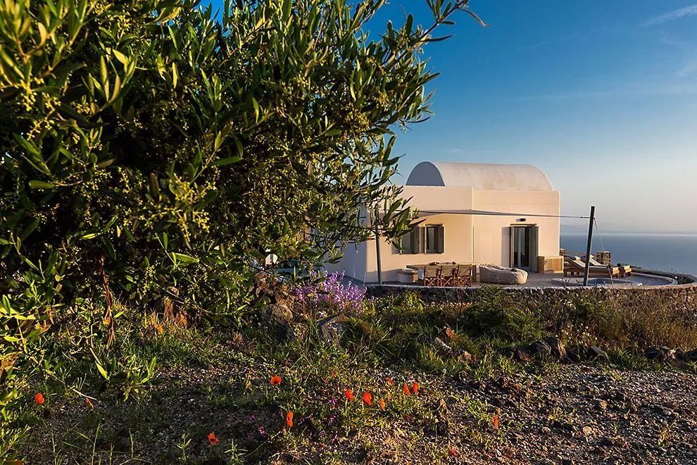 Weißes Gebäude im kykladischen Stil hinter Olivenzweigen und Wildblumen bei Sonnenschein.