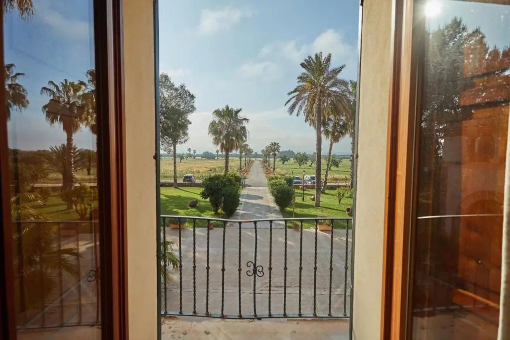 Blick vom Balkon auf eine lange Zufahrt mit Palmen und die umgebende grüne Landschaft.
