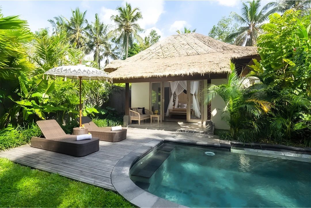 Villa mit Reetdach, Terrasse, Liegestühlen und eigenem Pool mitten im Grünen