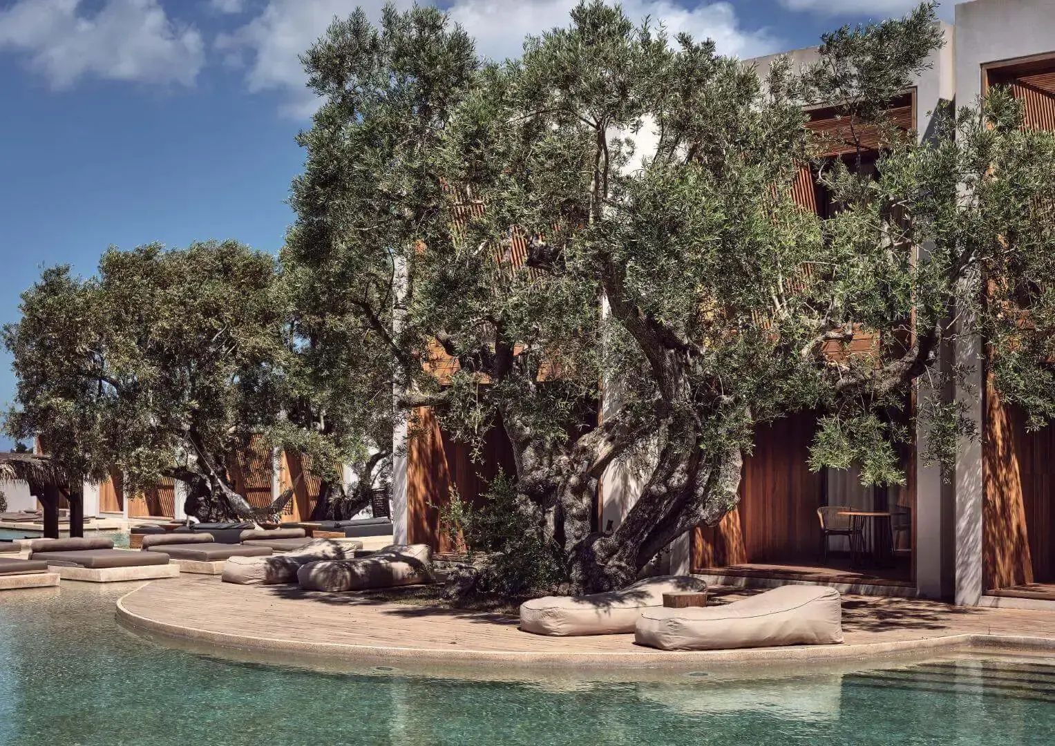 Außenbereich des Hotels mit Pool, großen Olivenbäumen und Sitzsäcken am Wasser.