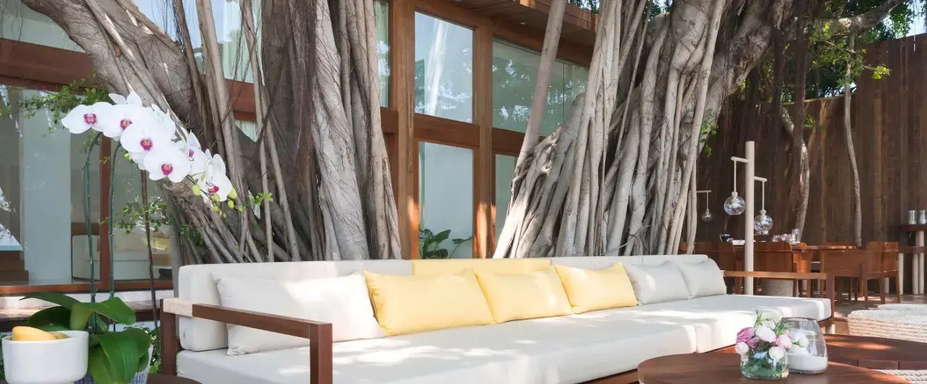 Außensitzbereich mit weißer Couch, gelben Kissen und großen Baumwurzeln an einer Holzfassade.