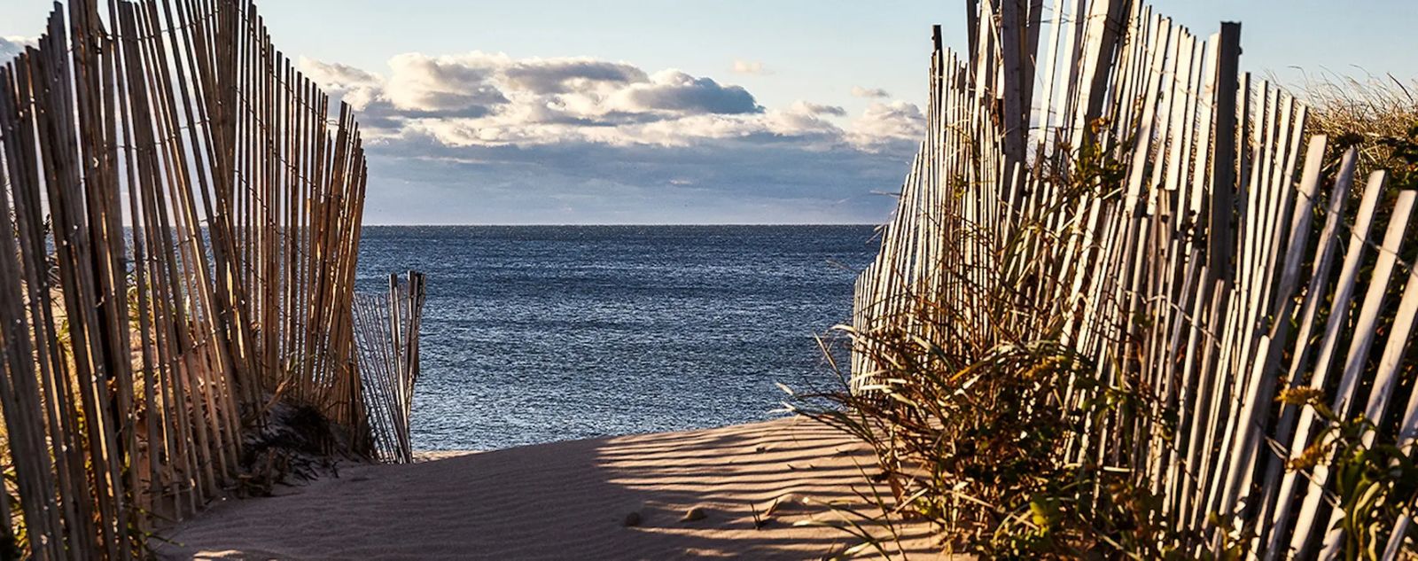 Marram, Bild 15 von 21