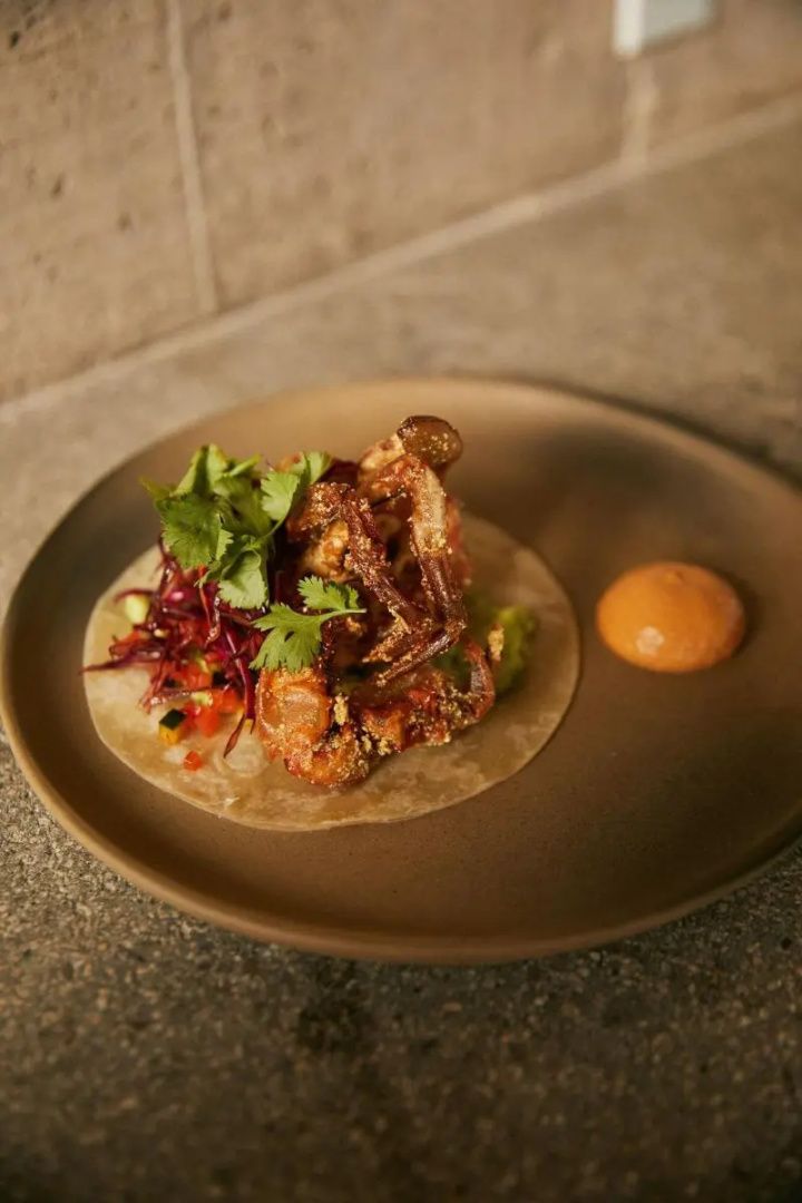 Paradero Todos Santos - Exclusive Experiences, Bild 9 von 29