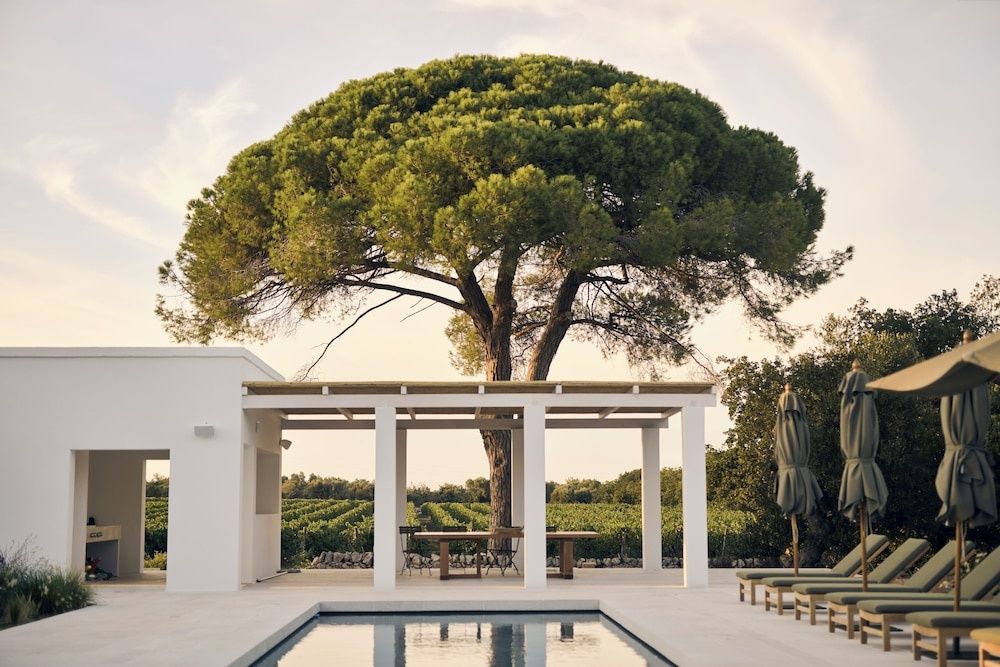 Masseria Pietra e Terra, Bild 15 von 16