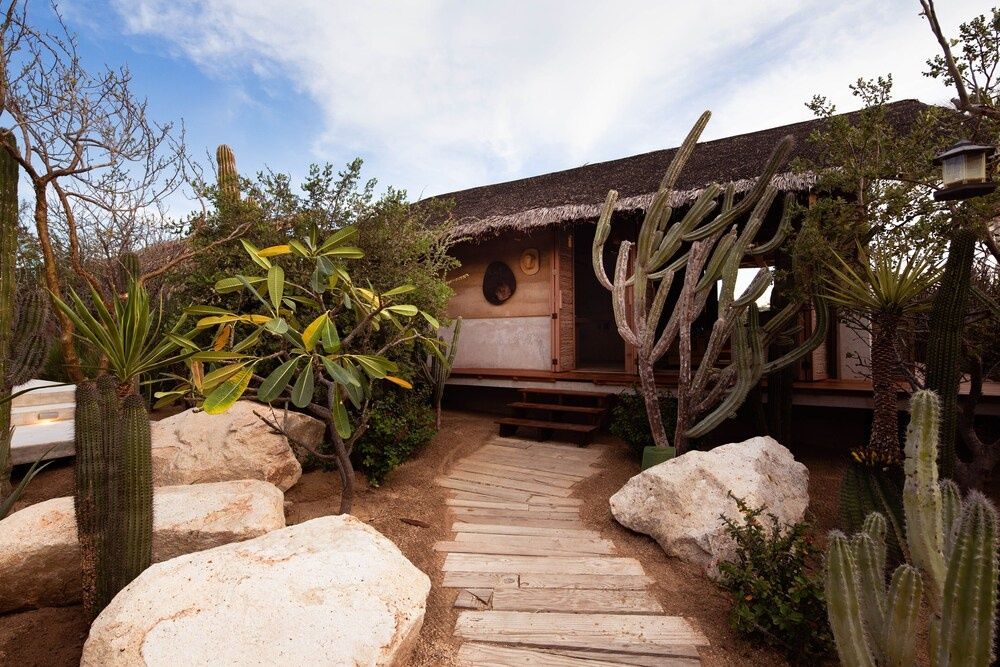 El Perdido Desert Dream - Todos Santos Adults Only, Bild 7 von 11