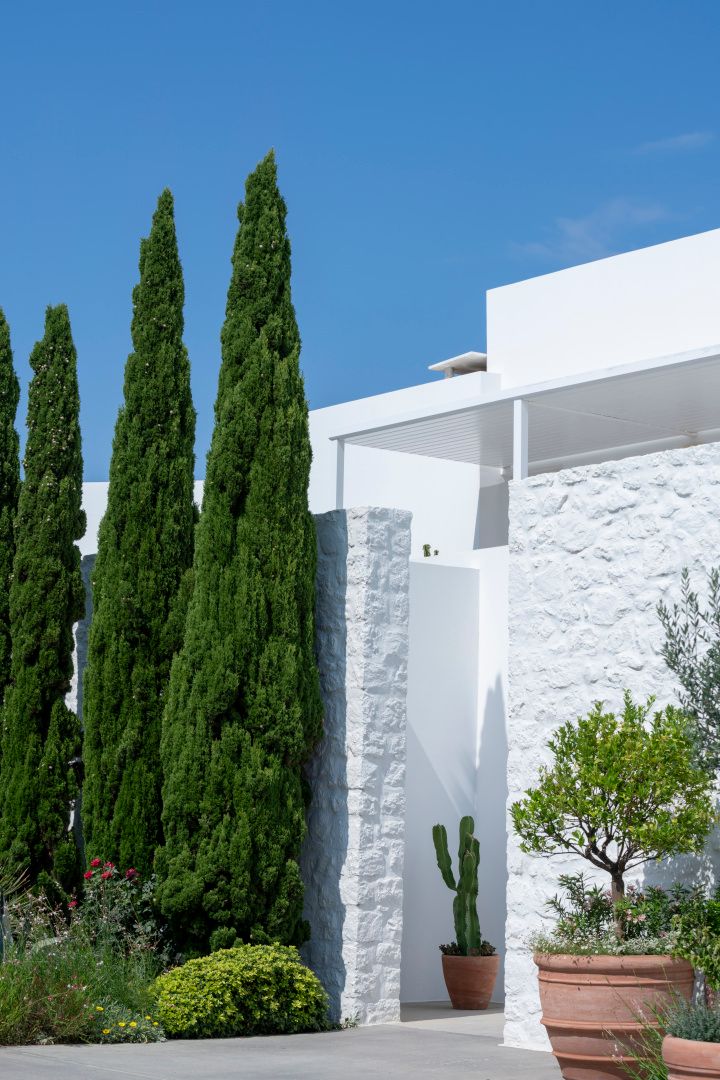 Patmos Aktis, a Luxury Collection Resort & Spa, Greece, Bild 10 von 25