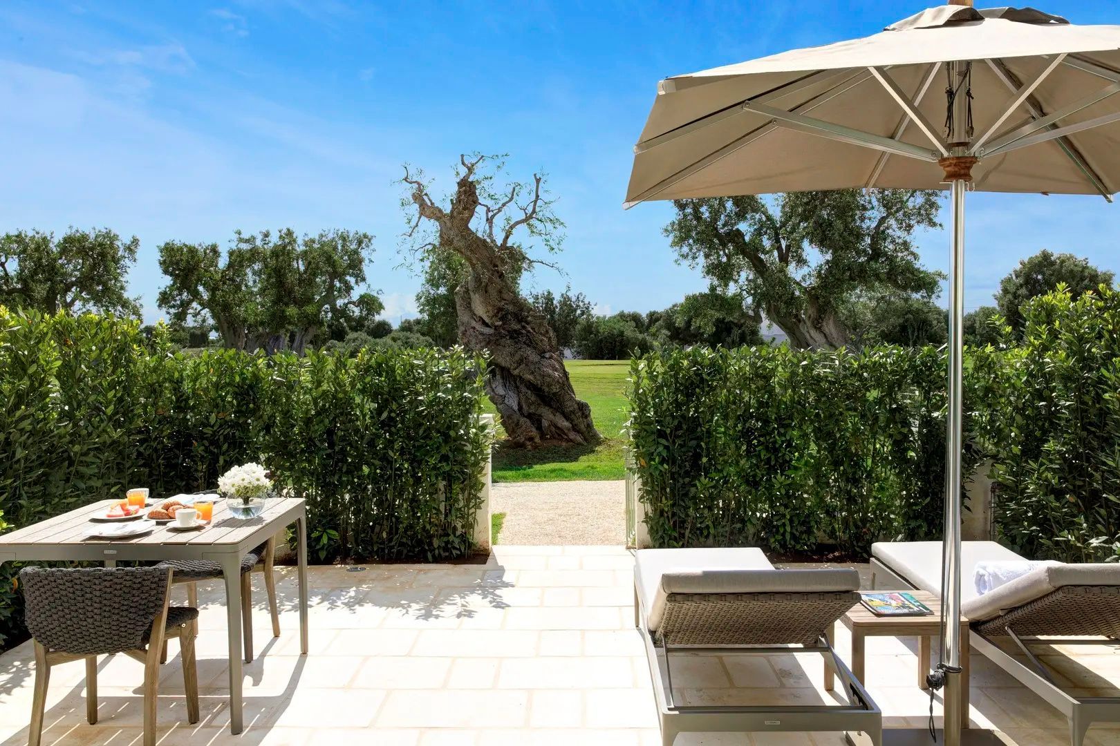 Terrasse mit Liegestühlen und Sonnenschirm mit Blick auf Olivenbäume.