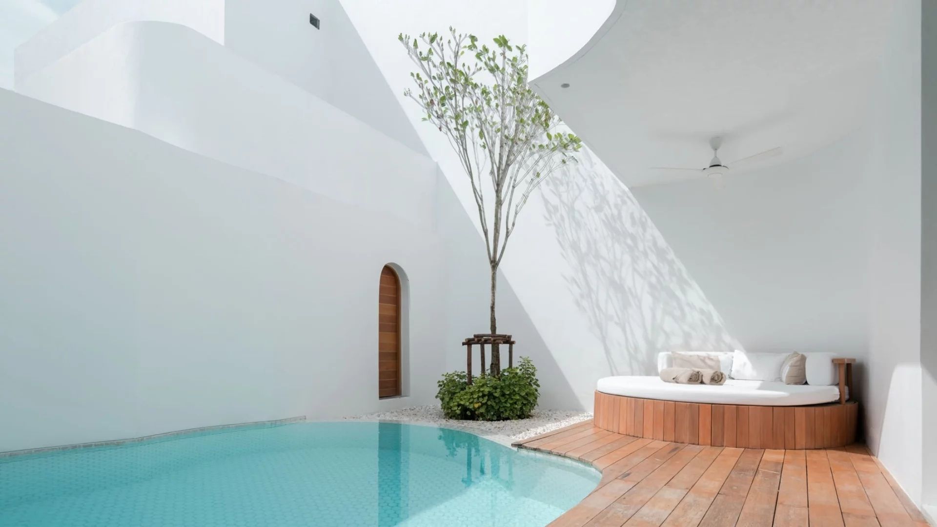 Privater Innenhof mit einem Pool, Holzdeck, rundem Tagesbett und einem schlanken Baum an einer weißen Wand.