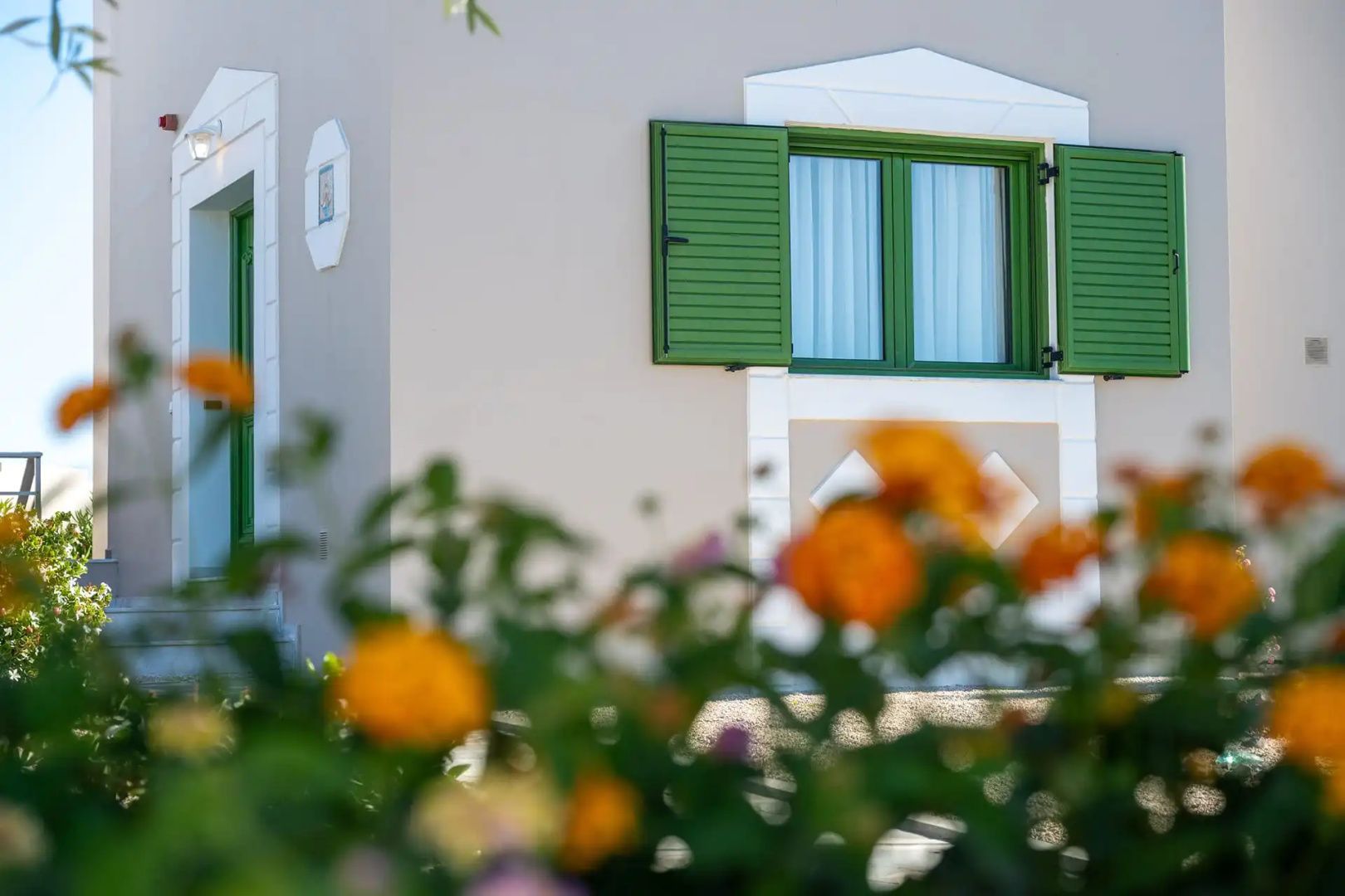 Fenster mit grünen Klappläden an einer hellen Hauswand hinter verschwommenen Blüten.