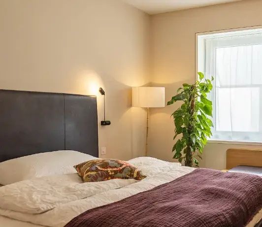 Doppelbett mit dunklem Kopfteil, bunten Kissen, einer grünen Zimmerpflanze und Stehlampe am Fenster.