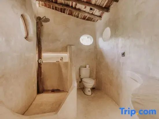 Rustikales Badezimmer mit Dusche, Toilette und Wänden in Lehmoptik.