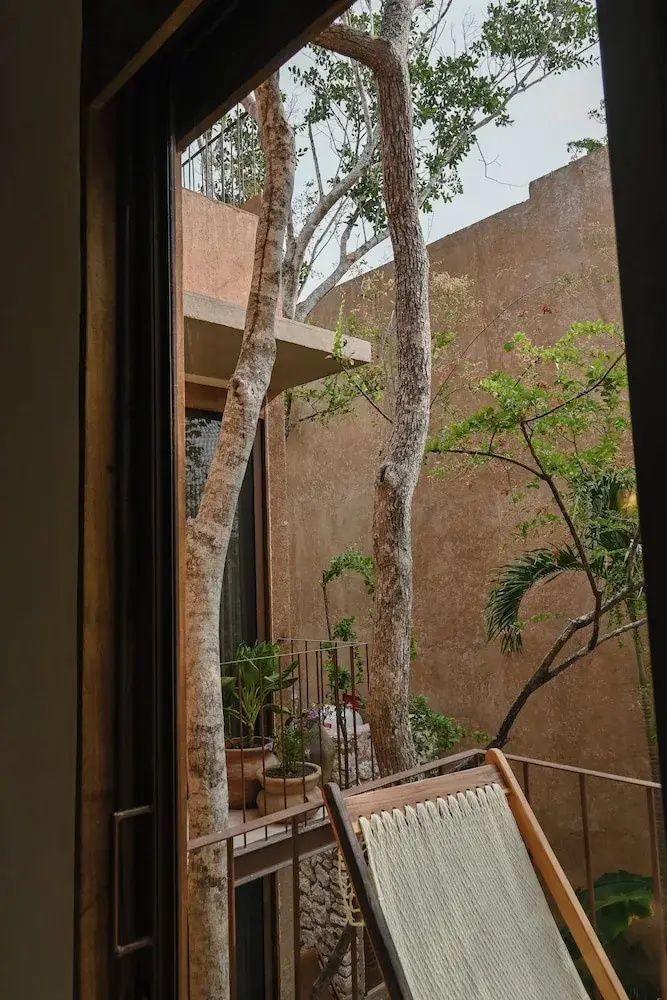 Blick von der Terrasse auf Bäume, Pflanzen und die Außenfassade des Gebäudes.