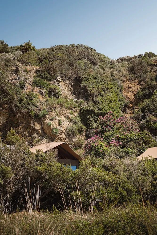 Zeltunterkünfte eingebettet in eine grüne Hanglandschaft mit rosa Blüten.