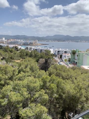 Blick über grüne Kiefernkronen auf die Küste mit weißen Häusern und Meer unter bewölktem Himmel.