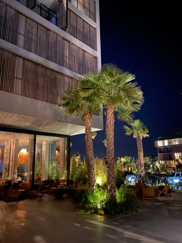 Nachtaufnahme einer Hotelanlage mit beleuchteten Palmen und moderner Holzarchitektur.